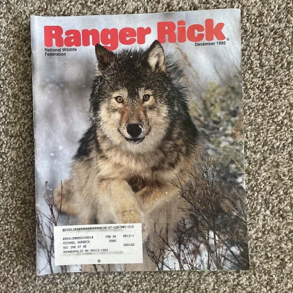 Ranger Rick's Nature Magazine 1995-1996 National Wildlife Kids‎ Vtg Lot Of 10